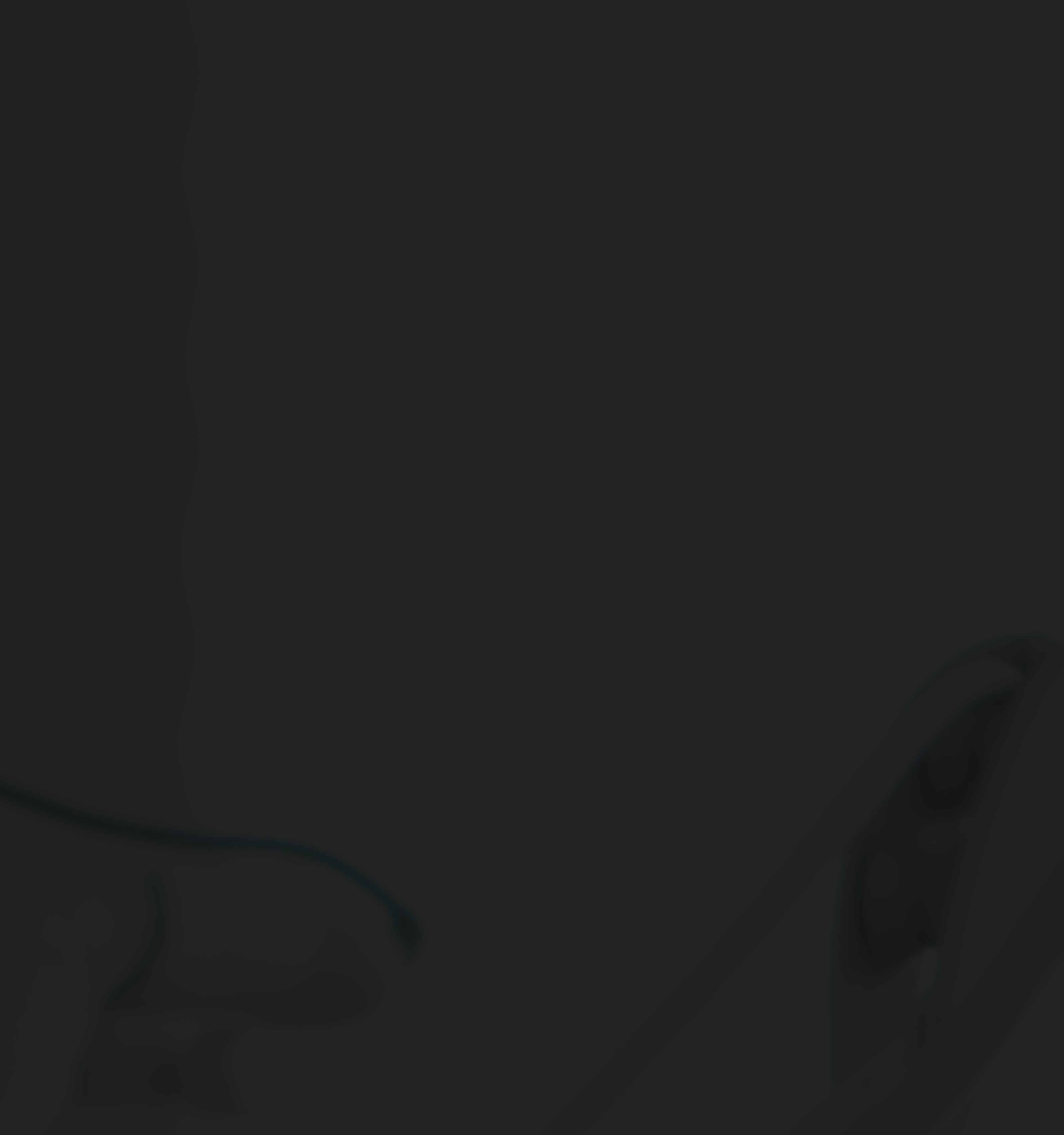 infec04_bg