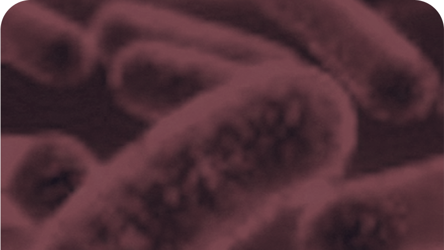 Dental offices inconsistent in infection-control compliance